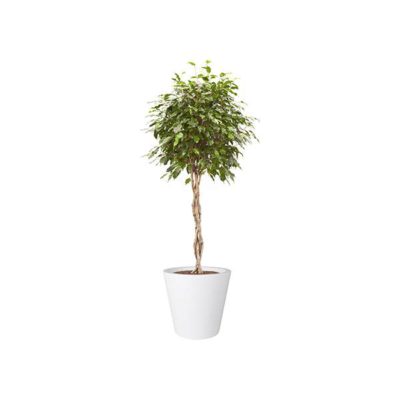 Pure Straight Round Pot white Pure Straight Round Pot white